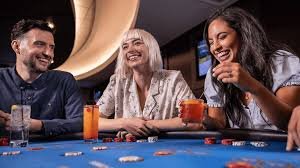 8efd Premium Dice Rooms